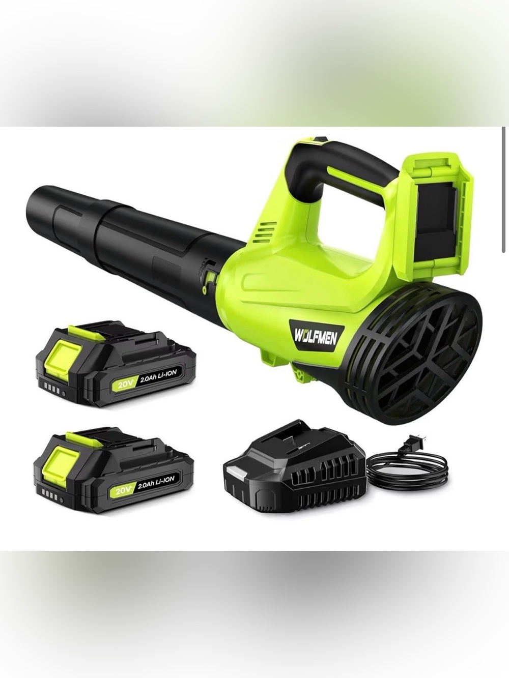 Electric Cordless Leaf Blower with 2 Batteries and Charger